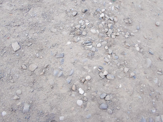 A low angle view of a dried brown branch overlooks the trees against the sky in the autumn and winter season