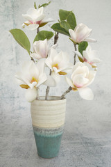 Beautiful white magnolia flower in vase