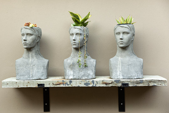 Plantas en maceteros esculturas.