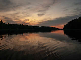 Obraz premium sky after sunset, dark forest silhouette, selective focus close up