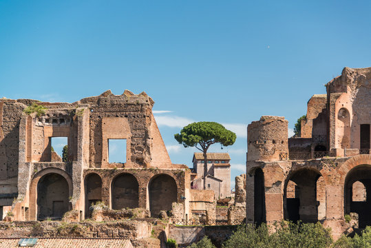 Rom - Der Zirkus Maximus, es sind nur noch reste vorhanden, die Ausma&szlig;e sind aber noch sch&ouml;n zu erkennen, gegen&uuml;ber die Ruinen der Kauserpal&auml;ste auf dem Palatin-H&uuml;gel