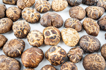 Dried fungus ingredients shiitake mushrooms on white background