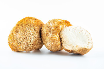 Golden dried dried Hericium erinaceus on white background