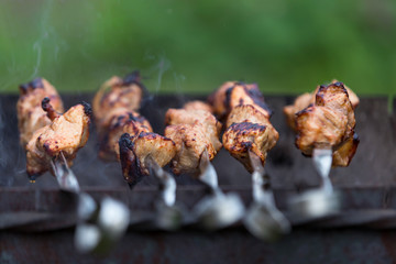 Shish kebab cooking on the barbecue in nature. Selective focus.
