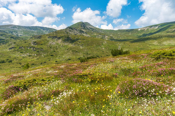 Fototapeta na wymiar Panoramic photo of summer mountain valley. Fabulous warm day in the mountains, amazing nature. Travel and hike