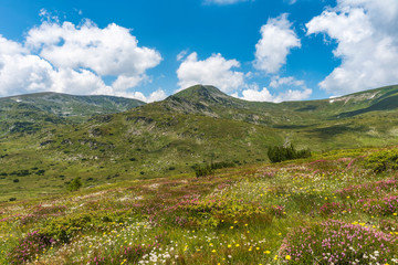 Fototapeta na wymiar Beautiful summer mountain panorama view from Rila Mountain, Bulgaria