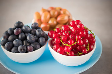 Fresh berries in white bowls on a blue plate and gray background. Blueberries, gooseberries and red currants. Top view.