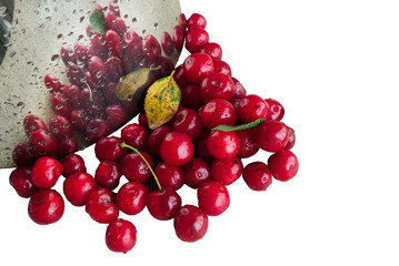 Wild cherry. The crop of natural maroon berries lies on the table reflected in the mirror surface of the pan. It is isolated on a white background.