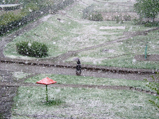 The first snowfall. Cityscape with a man walking under an umbrella, hiding from the snow flakes falling on the green grass of the lawn.