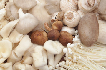 Assorted mushrooms background