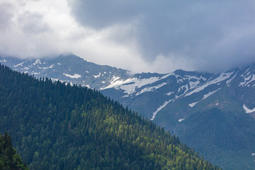 Beautiful mountains in the park in the Caucasus