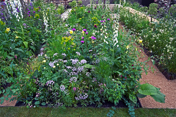 A colourful border with mixed planting in an urban garden