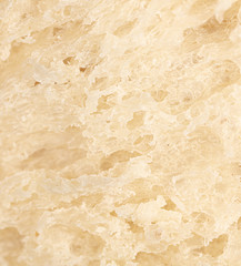 The flesh of bread as an abstract background