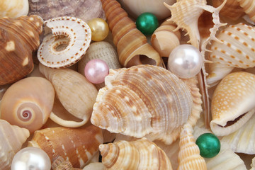 Seashells with pearls background