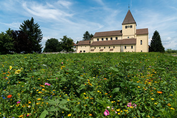 Fototapeta na wymiar the church of St. Georg on Reichenau island on Lake Constance with colorful wildflowers in the foreground