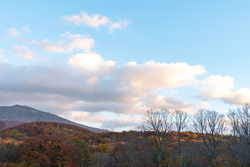 Autumn foliage scenery in Kayano-Kogen plateau, Aomori, Japan. Hakkoda Mountains on background bathed in different hues of red, orange, golden colors. Beautiful landscapes of magnificent fall colours