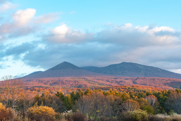 Fototapeta premium Autumn foliage scenery in Kayano-Kogen plateau, Aomori, Japan. Hakkoda Mountains on background bathed in different hues of red, orange, golden colors. Beautiful landscapes of magnificent fall colours