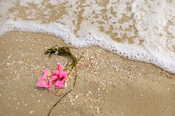 Plastic bag on sea. Concept of environment pollution. Garbage. Dirty beach.