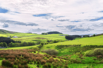 Fototapeta na wymiar Farmland fields in Kintyre in the Highlands of Scotland