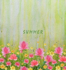 Watercolor illustration of summer flowers on a green background with an inscription summer, there is a place for your text. Greeting postcards, prints, packaging design.