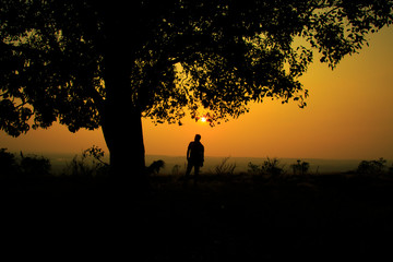 silhouette of man in sunset