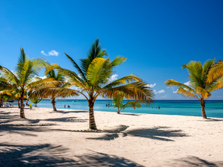 Fototapeta na wymiar A peaceful Caribbean beach with sand and palm trees an idyllic place to escape and relax.