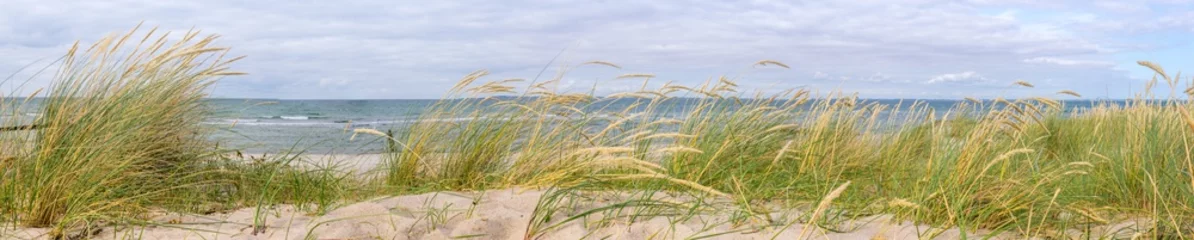 Papier Peint photo autocollant Panoramique Panorama dans les dunes, mer Baltique