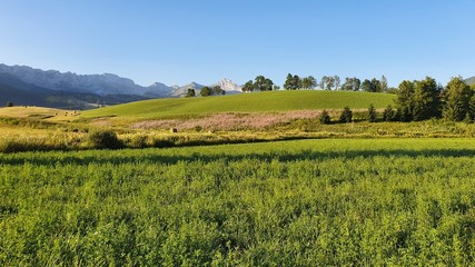 VILLARD DE LANS, VERCORS