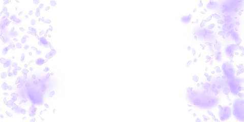 Violet flower petals falling down. Eminent romanti