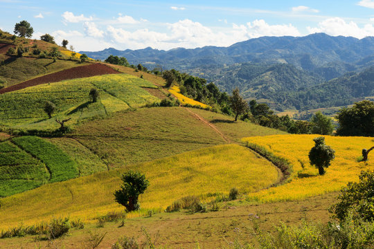 The breathtaking view of the colourful rolllings hills of the Kalaw highlands as seen when trekking from Kalaw to Inle Lake, Myanmar