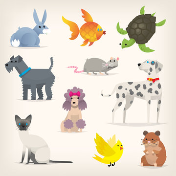 Set of colorful pets. Different species and kinds of breeds of dogs and cats. Isolated vector illustrations