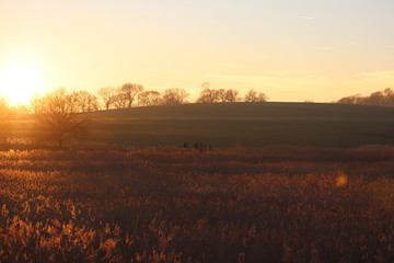 Fototapeta na wymiar Sunset Over Fields