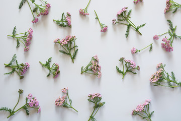 Flowers pattern of purple and pink flowers on grey background. Flat lay, top view.