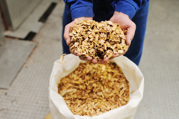chips to the smokehouse sausage close up in the palms of men
