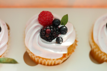 Isolated cupcake with cream, cherry with a leaf and black currant in a crafting box on a white background.