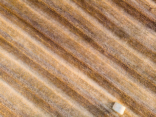Aerial view of a field with a wheat bale. The shot is taken in a field in the southern Sicily, at sunrise. Sicily, Italy