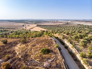 Fototapeta na wymiar Aerial view of a rural field in Sicily in the morning
