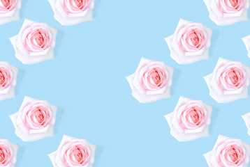 The pink rose pattern is framed against a blue background.