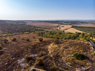 Aerial view of a rural field in Sicily in the morning