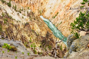 Wilder Yellowstone River in der Schlucht