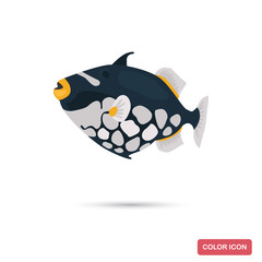 Triggerfish clown color flat icon for web and mobile design