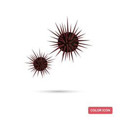 Sea urchin color flat icon for web and mobile design