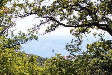 View of the black sea from the mountain, through the trees