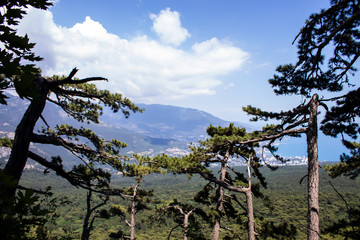 Black Sea view from Ai-Petri mountain. Light sunny summer day, Crimea, Russia.