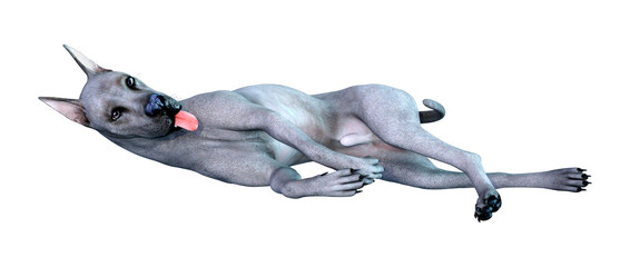 3D Rendering Blue Grat Dane Dog on White