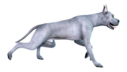 Fototapeta na wymiar 3D Rendering Blue Grat Dane Dog on White