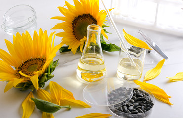 Medical glassware, sunflower oil and seeds. Laboratory quality control