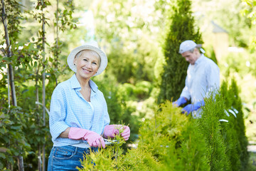 Waist up portrait of smiling woman trimming bushes and looking at camera while gardening, copy space