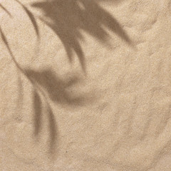 Plakat Summer beach day scene with tropical palms shadow on sand background. Minimal sunlight tropical flat lay arrangement.