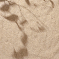 Summer beach day scene with tropical palms shadow on sand background. Minimal sunlight tropical...